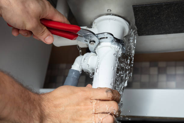 Best Flood damage cleanup  in Gray Summit, MO