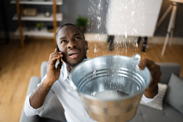 Best Professional water damage repair  in Gray Summit, MO