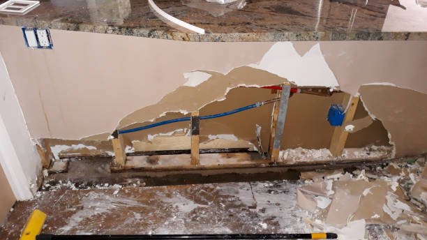 Best Water damage cleanup near me  in Gray Summit, MO