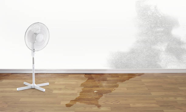 Best Commercial water damage restoration  in Gray Summit, MO